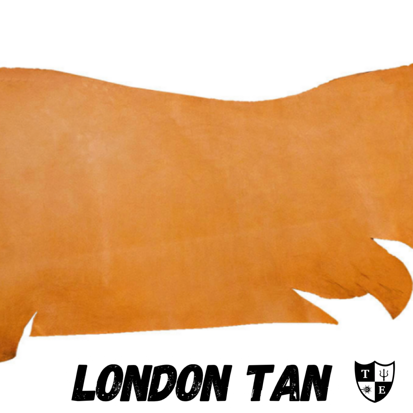 Special Forces - ODA 0124