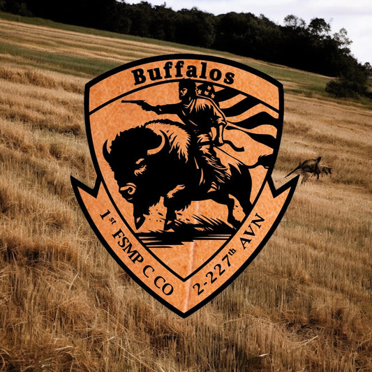 227th GSAB, 1 FSMP - Buffaloes v1
