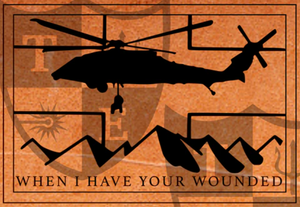 "When I Have Your Wounded...."