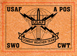 USAF Combat Weather Team