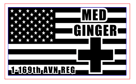 1-169th AVN REG Flags