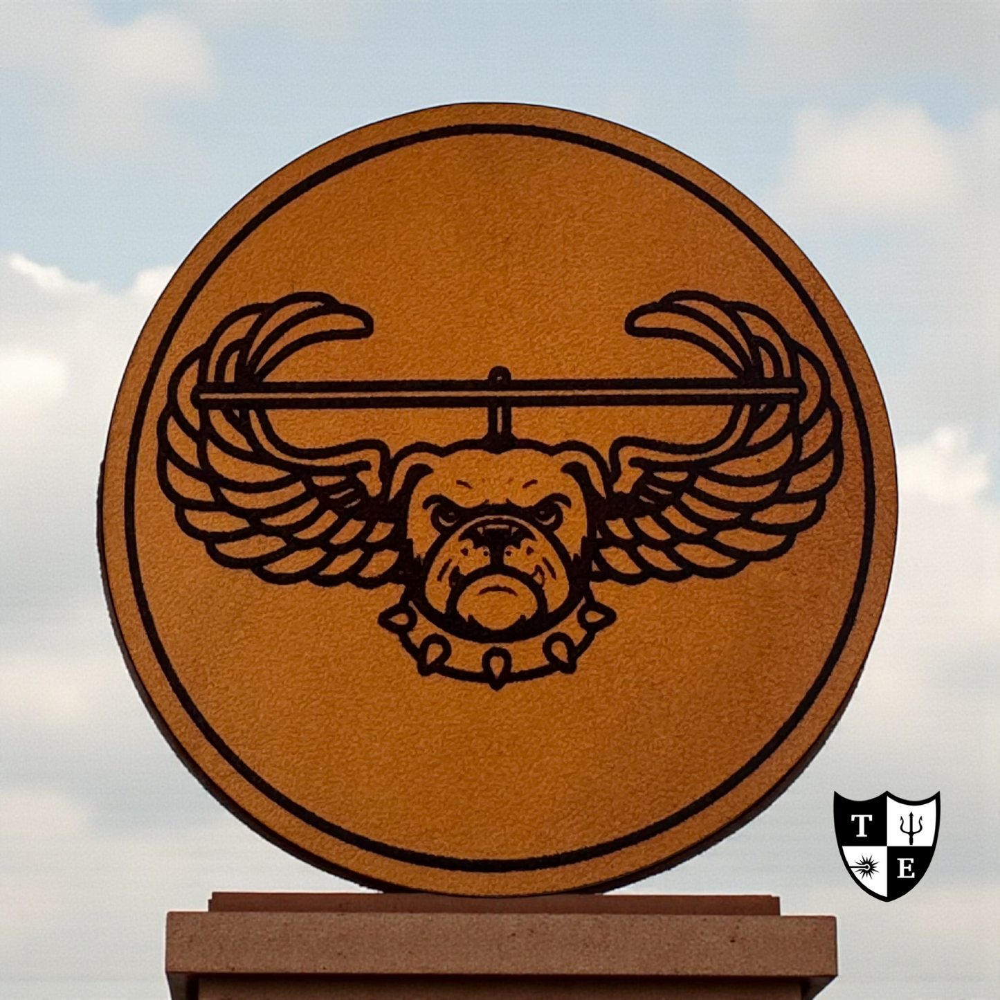 B Co 6-101 "Rude Dogs"